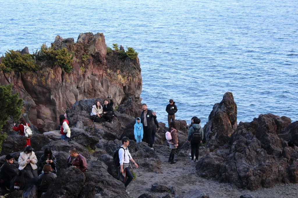 Volcanic Coastal Formations - Ito