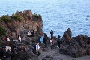 Volcanic Coastal Formations - Ito
