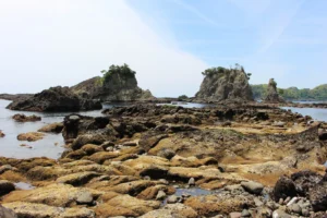 Mysterious Coastal Formations - Minami Izu