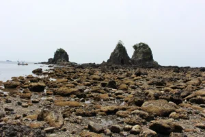 Mysterious Coastal Formations - Minami Izu