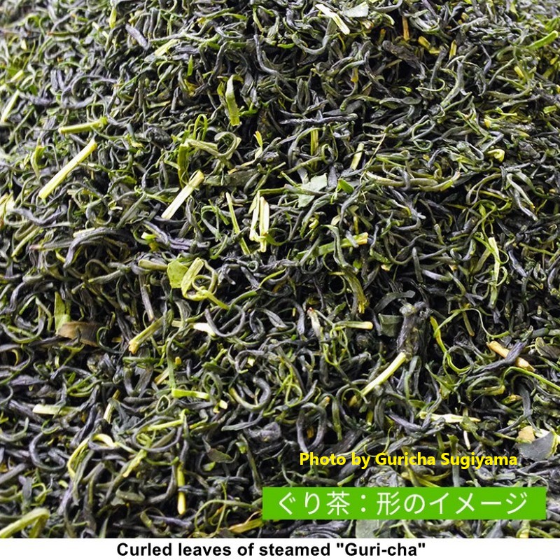 Guri-cha the special tea of Izu