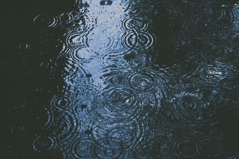 Rainy Day